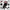 MamaLaps Elven baby stroller EasyFlyer (Pink Designed Canopy)